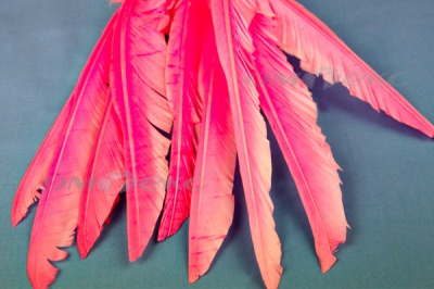 Декоративный Пучок из перьев, перо 25см/розовый - купить в Сочи. Цена: 14.40 руб.
