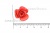 Украшение "Розы малые №1" 20мм - купить в Сочи. Цена: 32.49 руб.