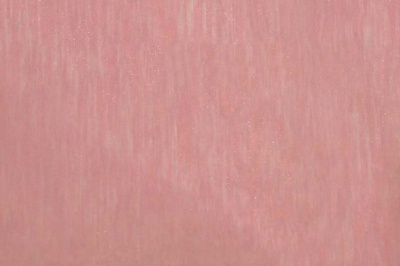 Органза однотонная "Амелия" С19 (Розовый) 280 см - купить в Сочи. Цена 303.09 руб.