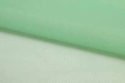 Портьерный капрон 13-6009, 47 гр/м2, шир.300см, цвет св.зелёный - купить в Сочи. Цена 143.68 руб.