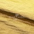 Текстильный материал "Диско"#1805 с покрытием РЕТ, 40гр/м2, 100% полиэстер, цв.5-золото - купить в Сочи. Цена 412.36 руб.