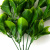 Трава искусственная -1, шт (эвкалипт лист 32 см/8 см)				 - купить в Сочи. Цена: 169.93 руб.