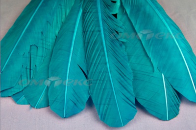 Декоративный Пучок из перьев, перо 24см/голубой - купить в Сочи. Цена: 12.19 руб.