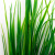 Трава искусственная -2, шт (осока 41см/8 см)				 - купить в Сочи. Цена: 104.57 руб.