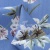 Плательная ткань "Фламенко" 12.1, 80 гр/м2, шир.150 см, принт растительный - купить в Сочи. Цена 241.49 руб.