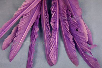 Декоративный Пучок из перьев, перо 25см/фиолетовый - купить в Сочи. Цена: 12.19 руб.