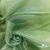Ткань органза, 100% полиэстр, 28г/м2, шир. 150 см, цв. #27 зеленый - купить в Сочи. Цена 86.24 руб.