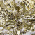 Трикотажное полотно, Сетка с пайетками, шир.130 см, #315, цв.-белый/золото - купить в Сочи. Цена 693.39 руб.