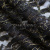 Кружевное полотно XD LACE 1-4, 80 гр/м2, шир.150см, цвет чёрный - купить в Сочи. Цена 245.94 руб.
